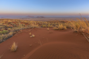 Elim Dunes at dusk