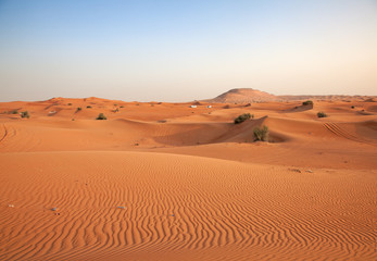 Rode zandwoestijn