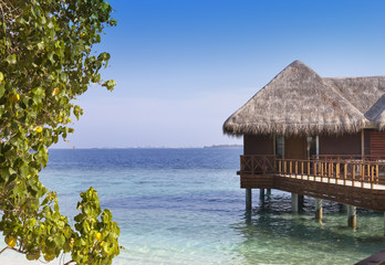 view of the ocean and the house on water through green leaves