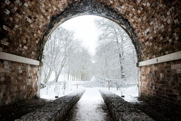 Tunnel to a magical winter forest