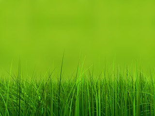 Conceptual green 3d grass field or lawn on green background