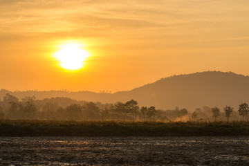 Sunrise on them has light shined on the field.