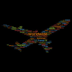 Conceptual travel or tourism plane word cloud