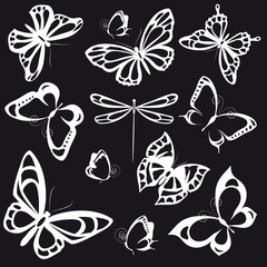 butterflies design