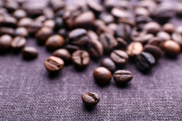 Roasted coffee grains, close-up