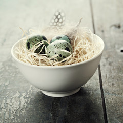 Easter composition with eggs and nest