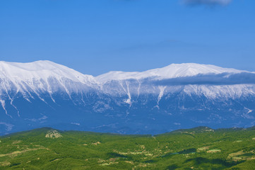 Idyllic landscape with fresh green meadows and snowcapped mountain tops