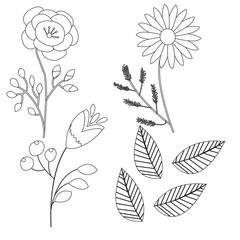 set doodle drawn flowers isolated on white background for design