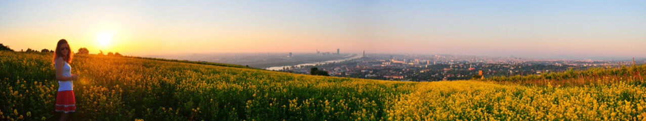 Sonnenaufgang in den Wiener Weinbergen