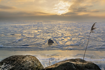 Kaczka na lodzie © marek1967