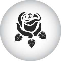 Rose simple icon on colorful background