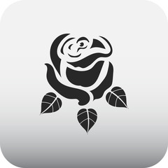 Rose simple icon on colorful background