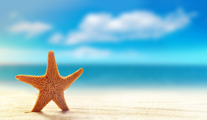 Naklejka na ściany i meble Summer beach. Starfish on a sandy beach.