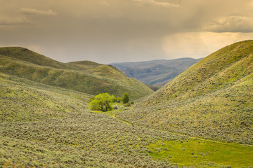 Oregon, Baker County, Lookout Mountain rd-4