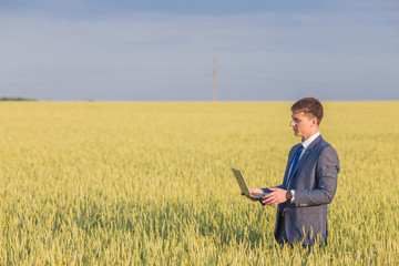 Businessman on a wheat field 