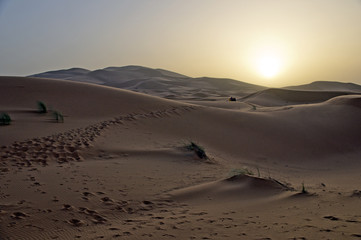 Fototapeta na wymiar Morgen in der Wüste
