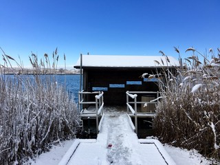 BIRD OBSERVATORY