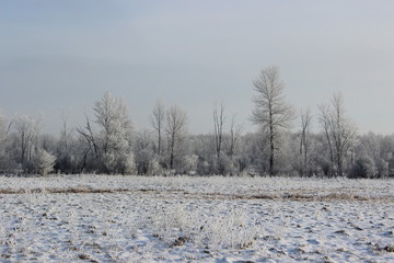 Snow covered winter landscape