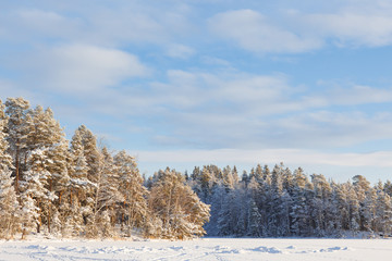 Frozen lake and snow covered forest