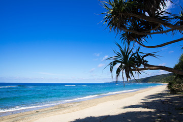 沖縄のビーチ・謝敷の浜
