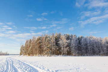 Frozen lake and snow covered forest