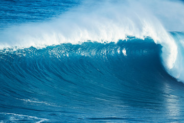 Powerful Ocean Wave