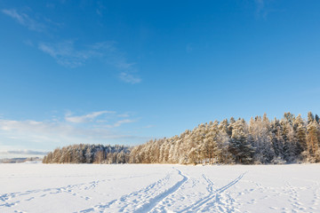 Frozen lake and snow covered forest