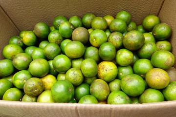 close up of fresh oranges for background