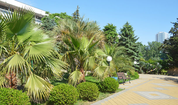 Вид на парк-дендрарий на территории отеля