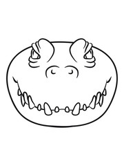 Crocodile face cool