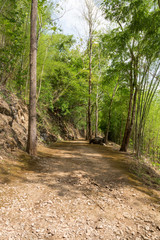 Trail to Hellfire pass, World War 2 memorial,  Kanchanaburi, Tha