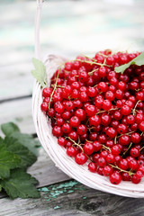 currants wicker basket