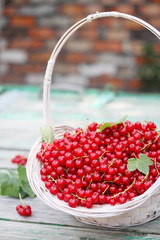 currants large wicker basket