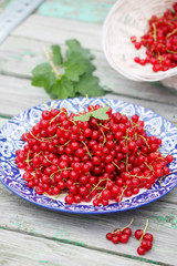  red currants organic red currants on the plate
