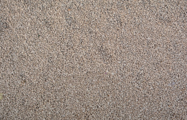 Small yellow pebble near the sea