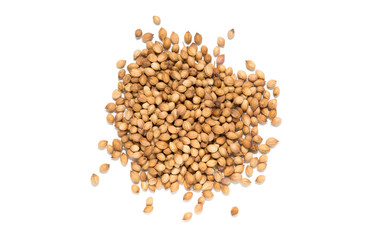 Pile of coriander seeds