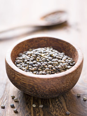 rustic french green puy lentil