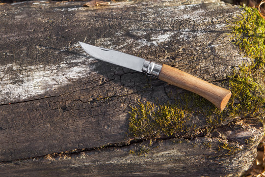 folding knife on log