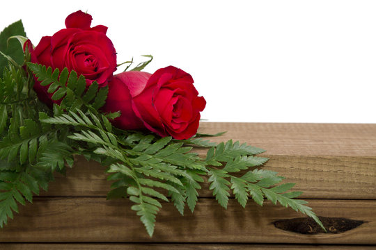red rose on wood