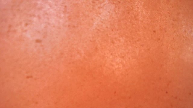 Cyane's octopus brushing sand from his hole water jet, Indian Ocean, Hikkaduwa, Sri Lanka, South Asia 
