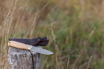 damascus steel knife on log