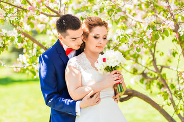 The bride and groom in the spring nature with blooming trees