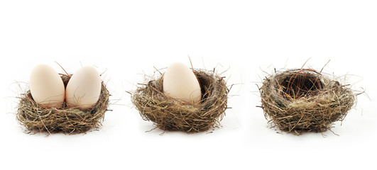 Fototapeta premium Empty nest and eggs inside the nests, isolated on white