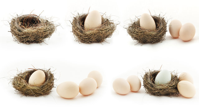 Composition with empty nest and big eggs inside the small nests, isolated on white