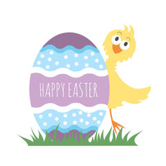 Funny yellow chicken behind colorful easter egg. Happy Easter greeting card