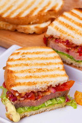 Beef Sandwich with Tomatoes, Coriander, Red Onion and Green Salad