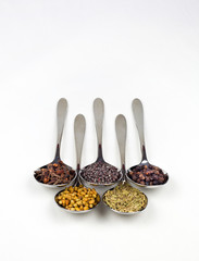Spoons full of typical Indian spices used in making curry