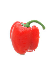 Red Bell Pepper