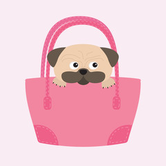 Pug dog mops in the bag. Cute cartoon character. Flat design. Isolated. Wite background.
