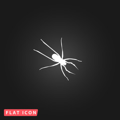 Spider flat icon